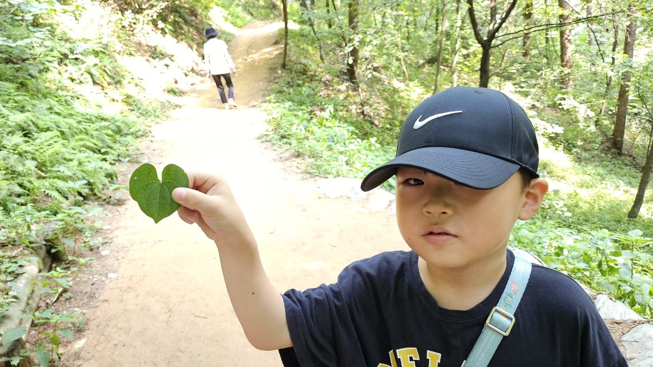 사용자가 올린 이미지