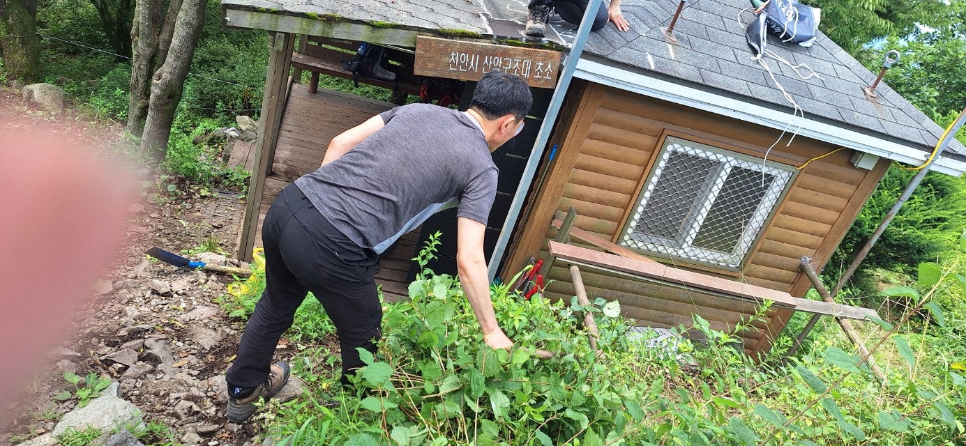 사용자가 올린 이미지