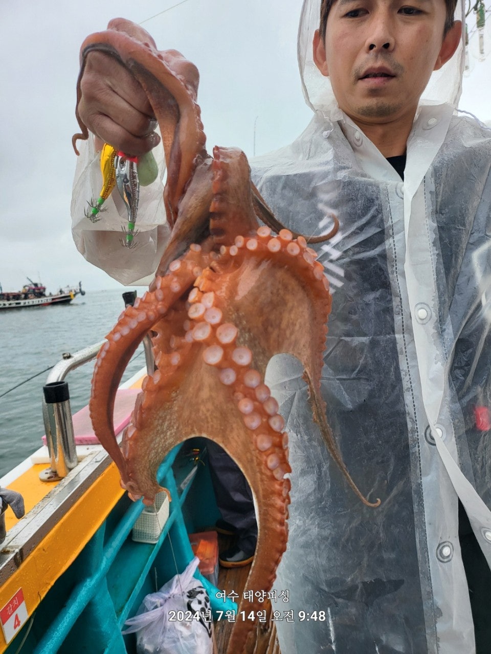 사용자가 올린 이미지