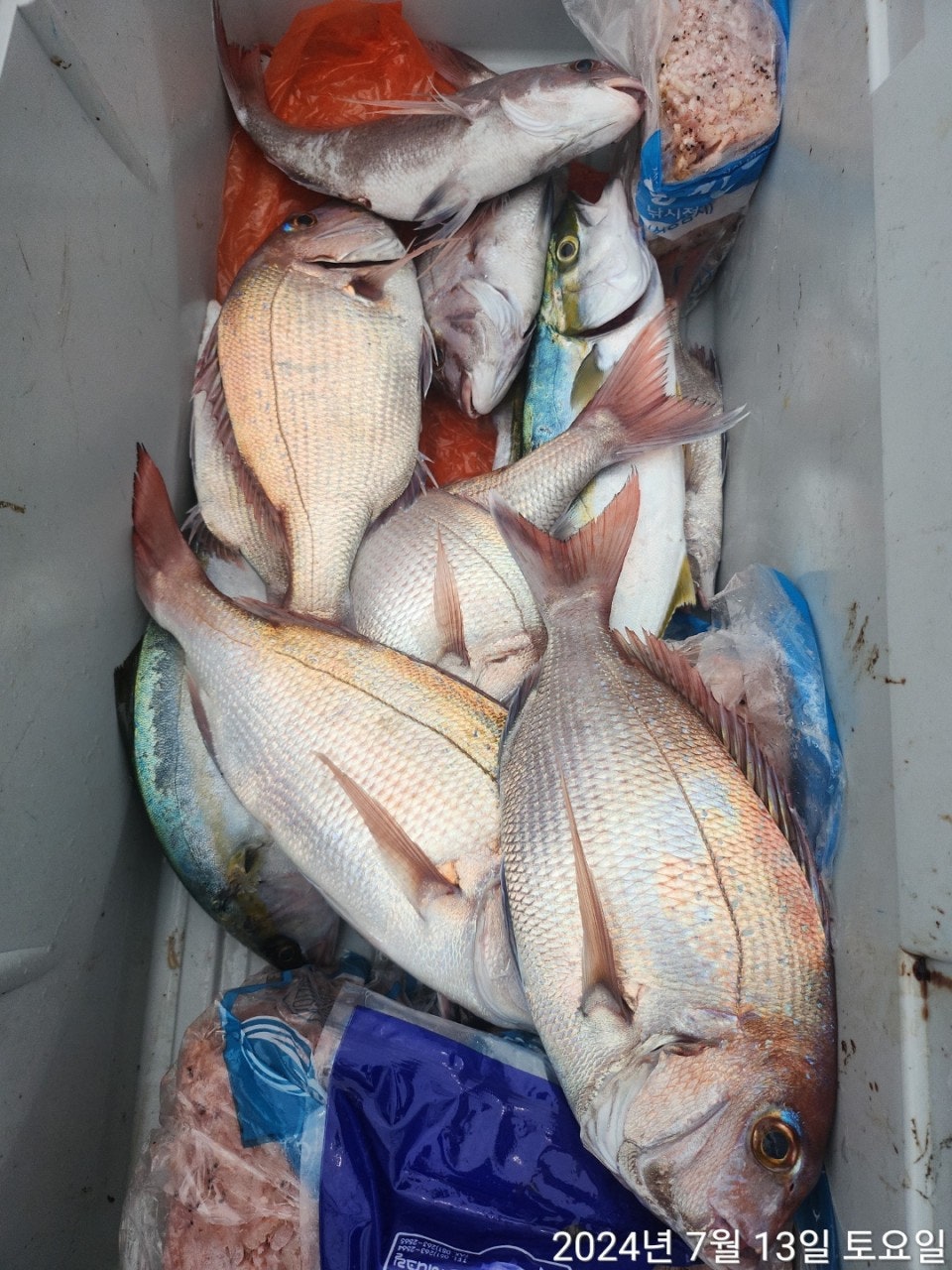 사용자가 올린 이미지