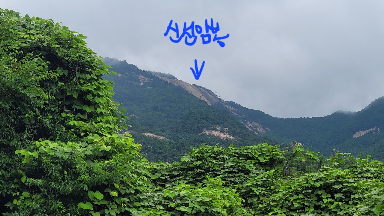 사용자가 올린 이미지