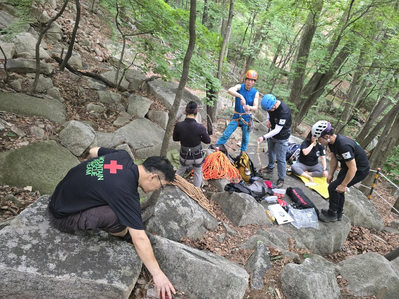 사용자가 올린 이미지