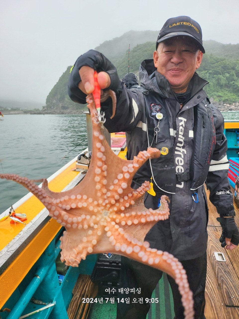 사용자가 올린 이미지