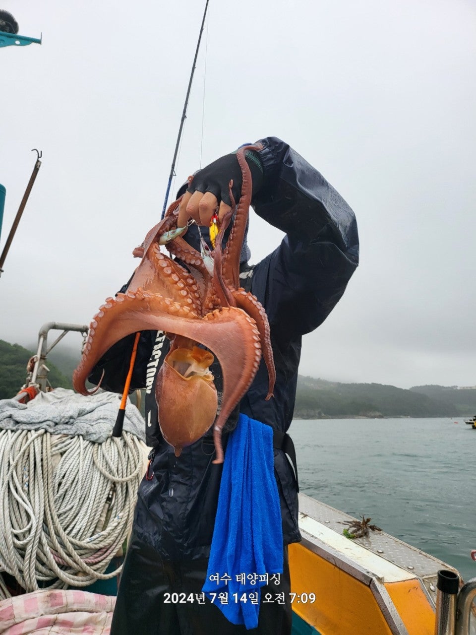 사용자가 올린 이미지