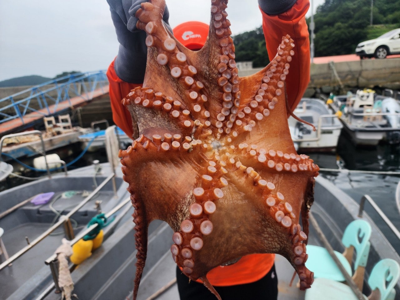 사용자가 올린 이미지