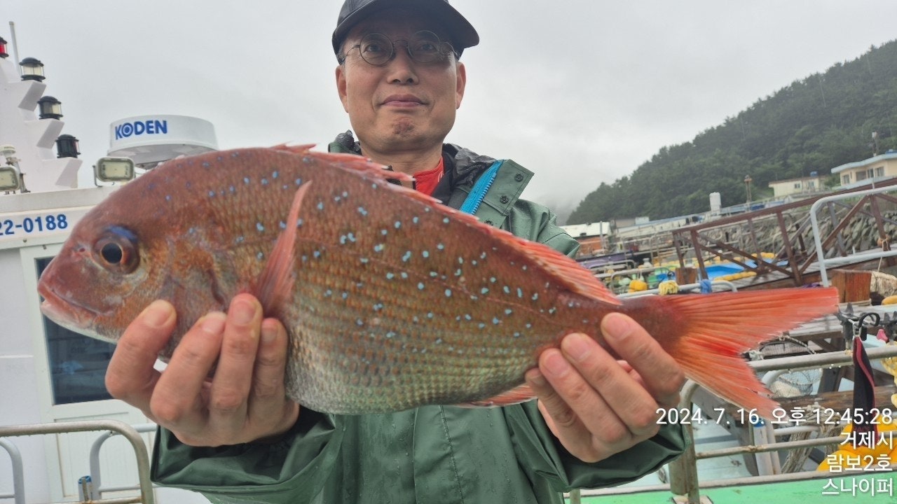 사용자가 올린 이미지