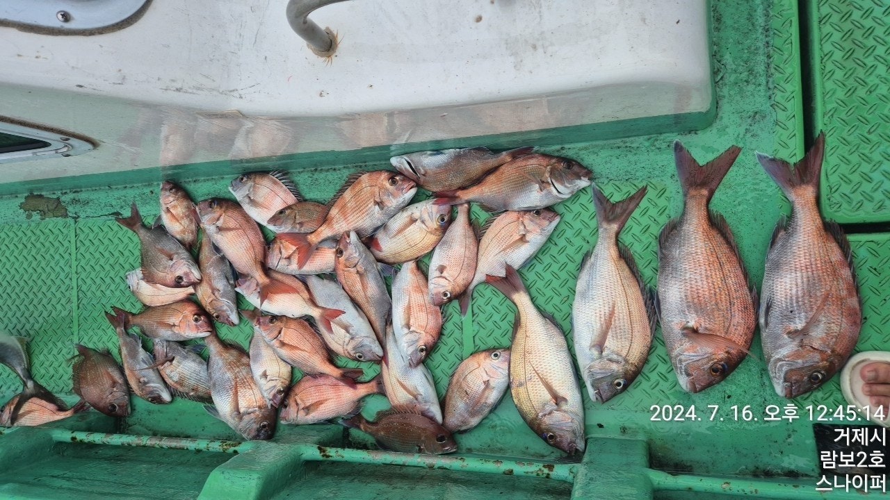 사용자가 올린 이미지