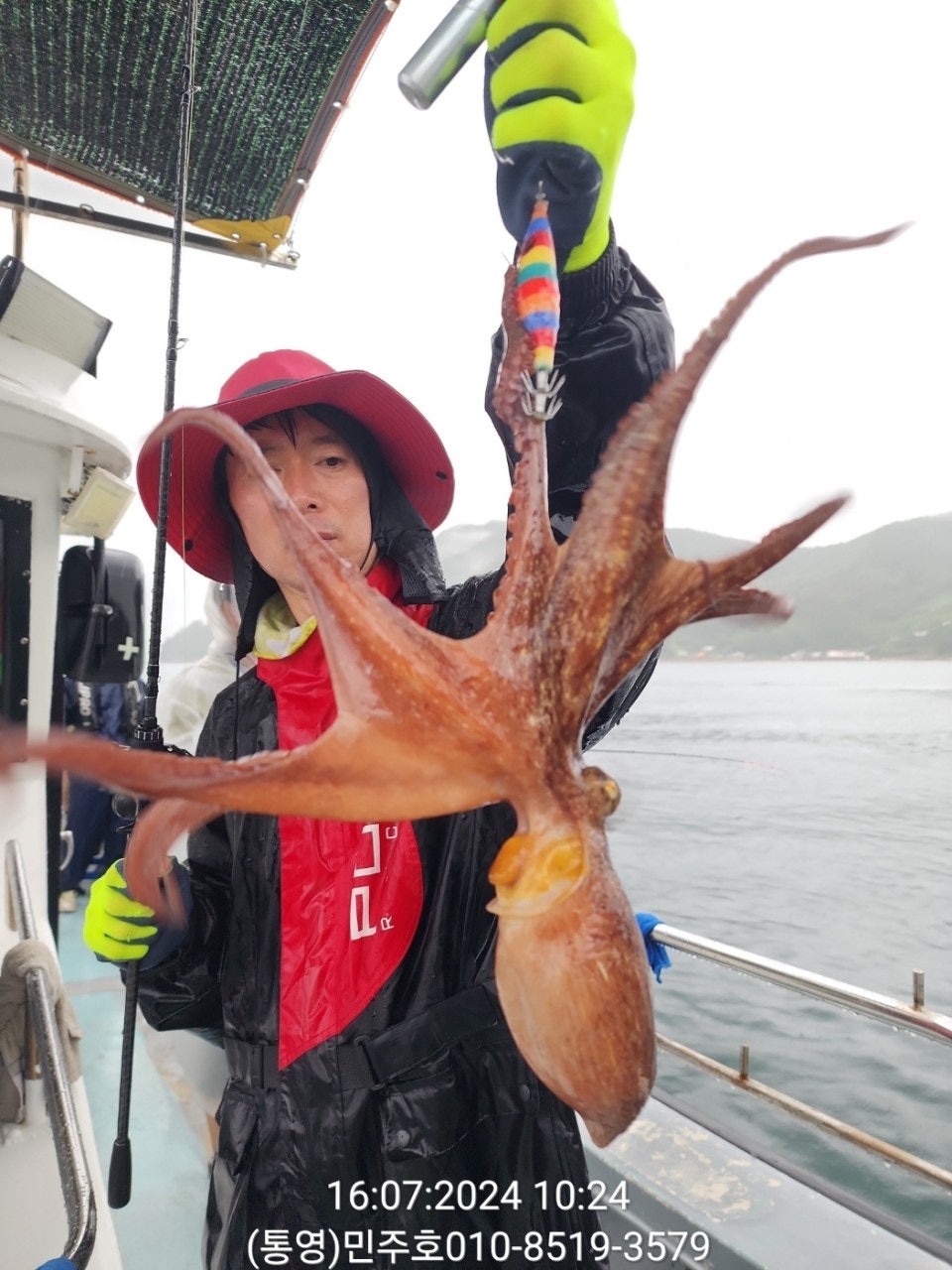 사용자가 올린 이미지