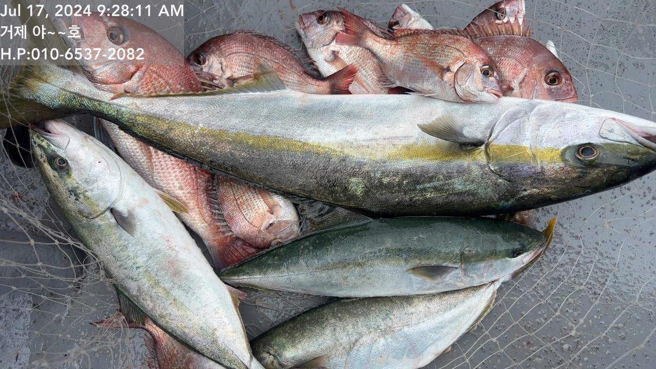 사용자가 올린 이미지