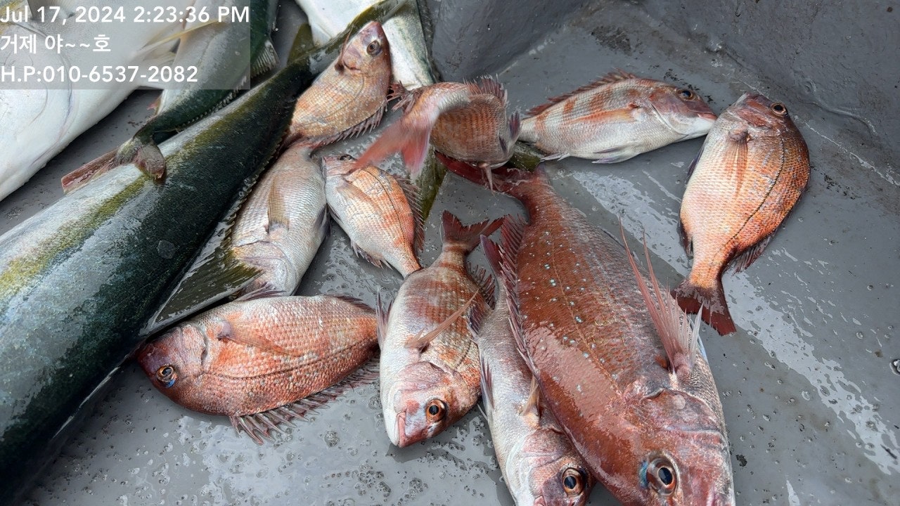 사용자가 올린 이미지