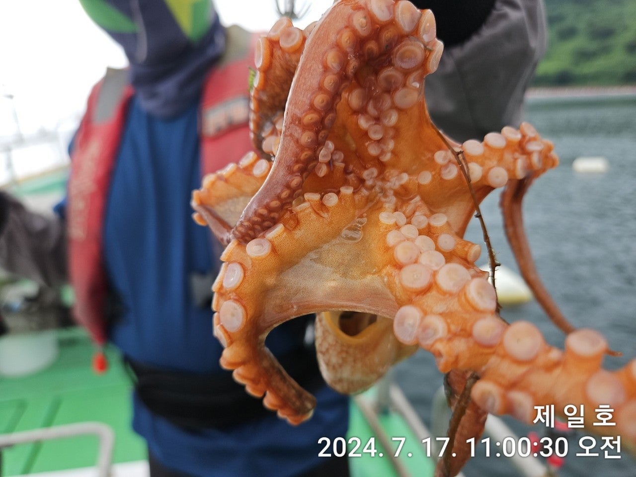 사용자가 올린 이미지