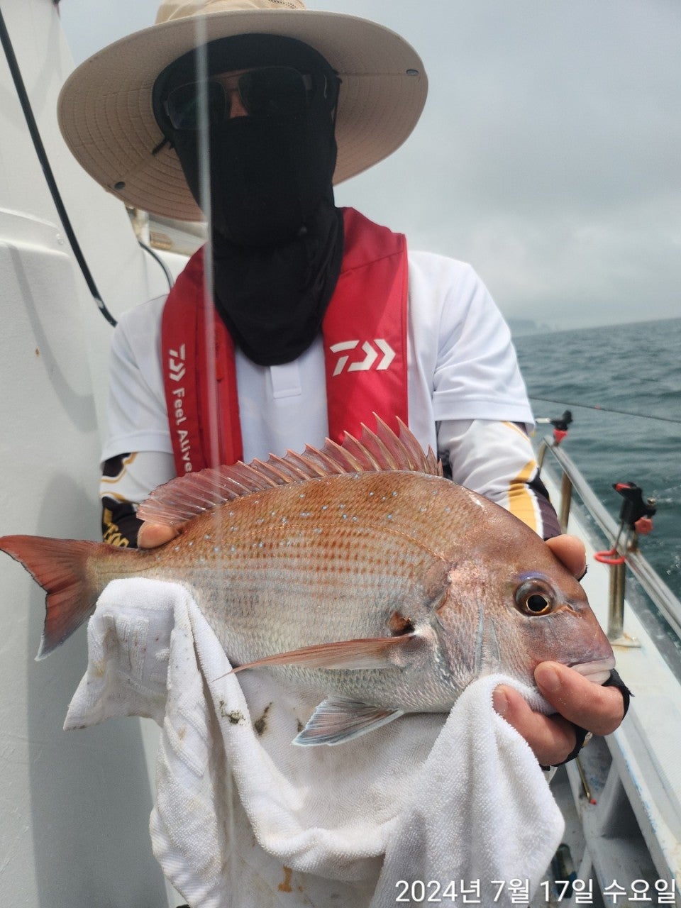 사용자가 올린 이미지