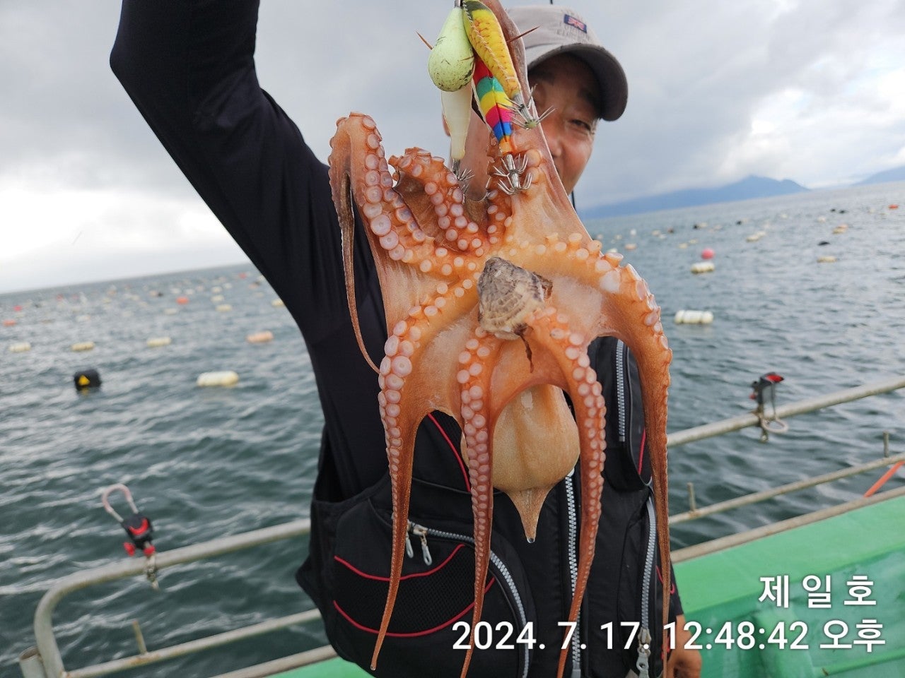 사용자가 올린 이미지