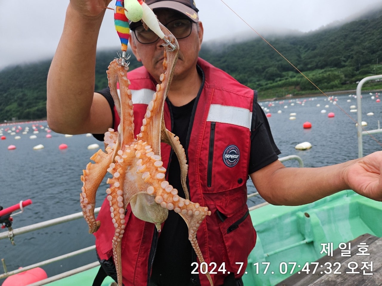 사용자가 올린 이미지