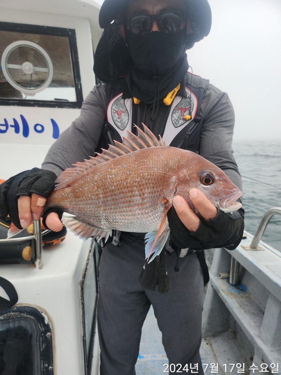 사용자가 올린 이미지