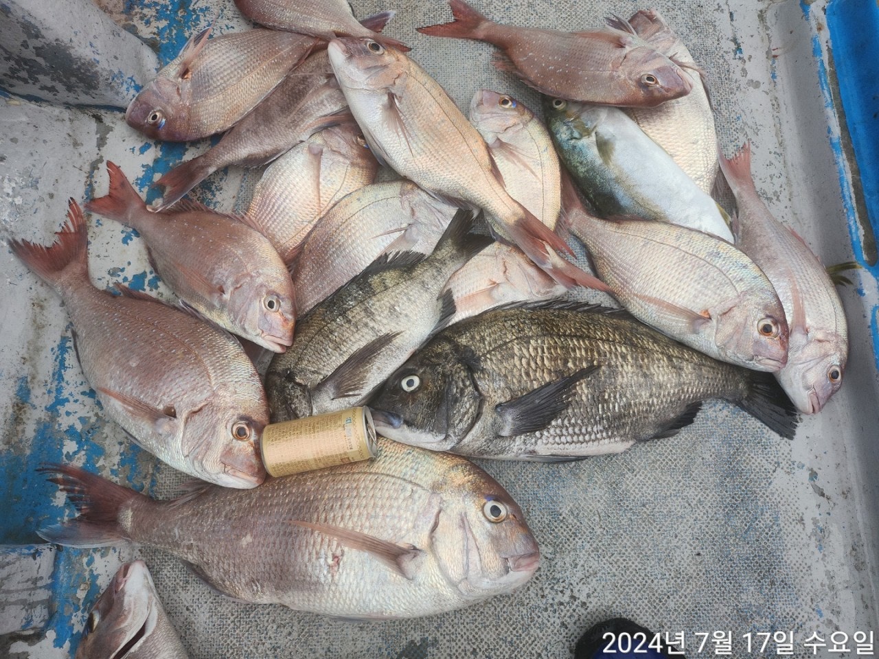 사용자가 올린 이미지