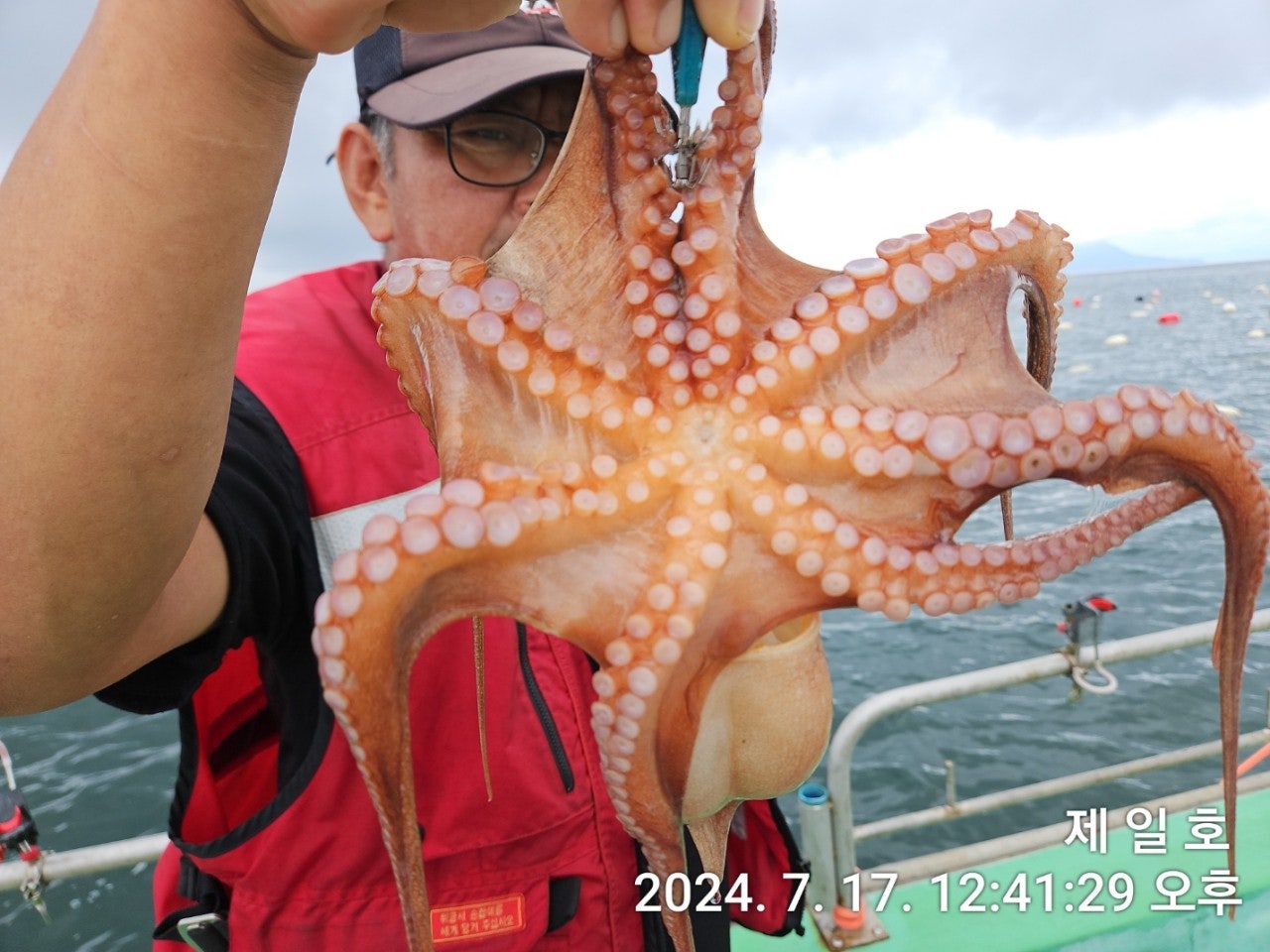 사용자가 올린 이미지