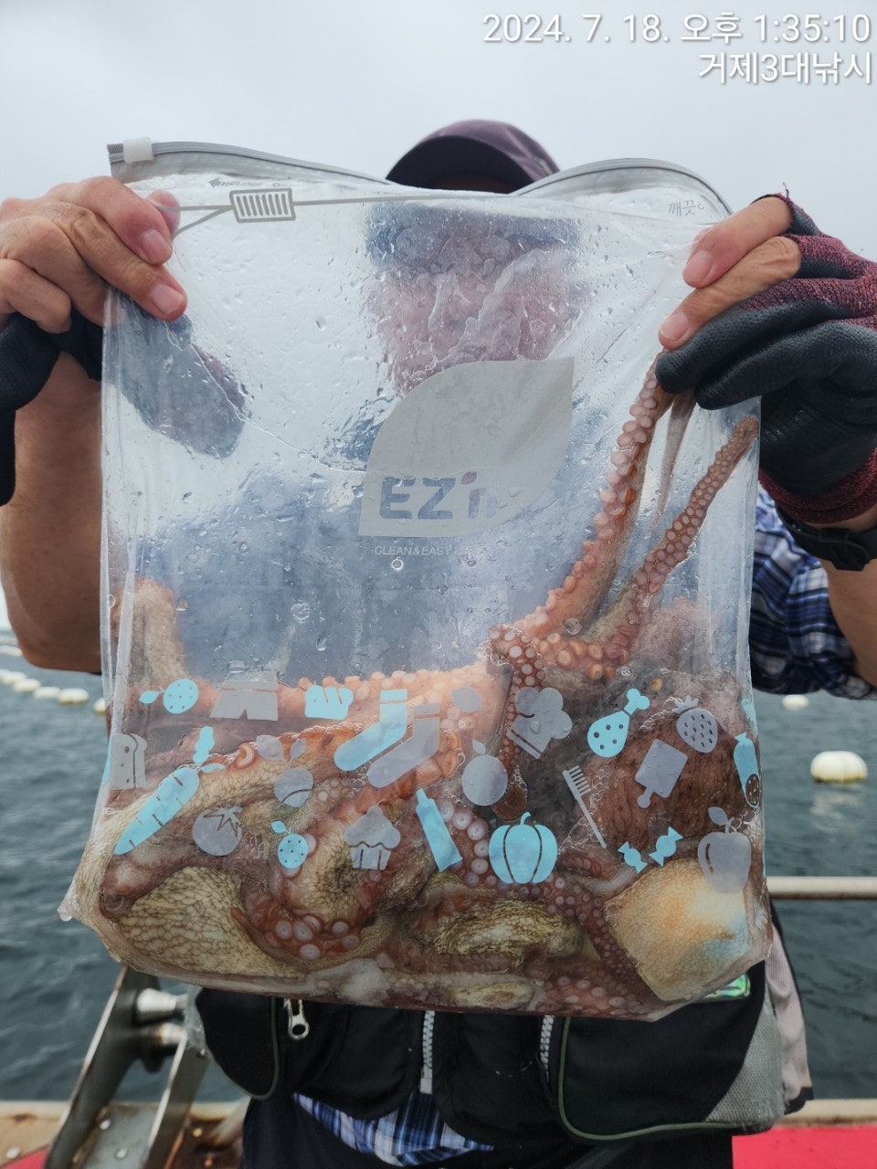 사용자가 올린 이미지