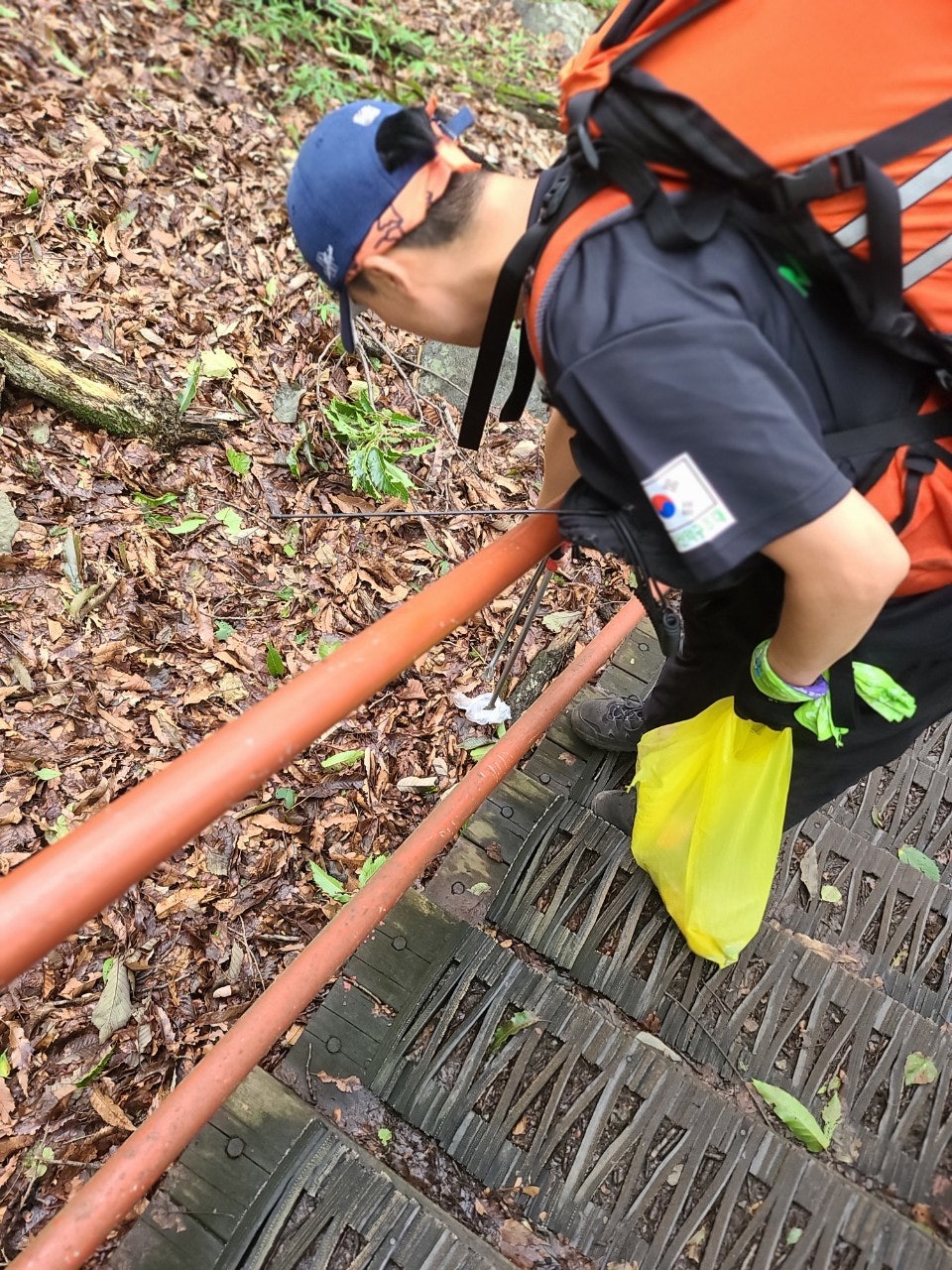 사용자가 올린 이미지