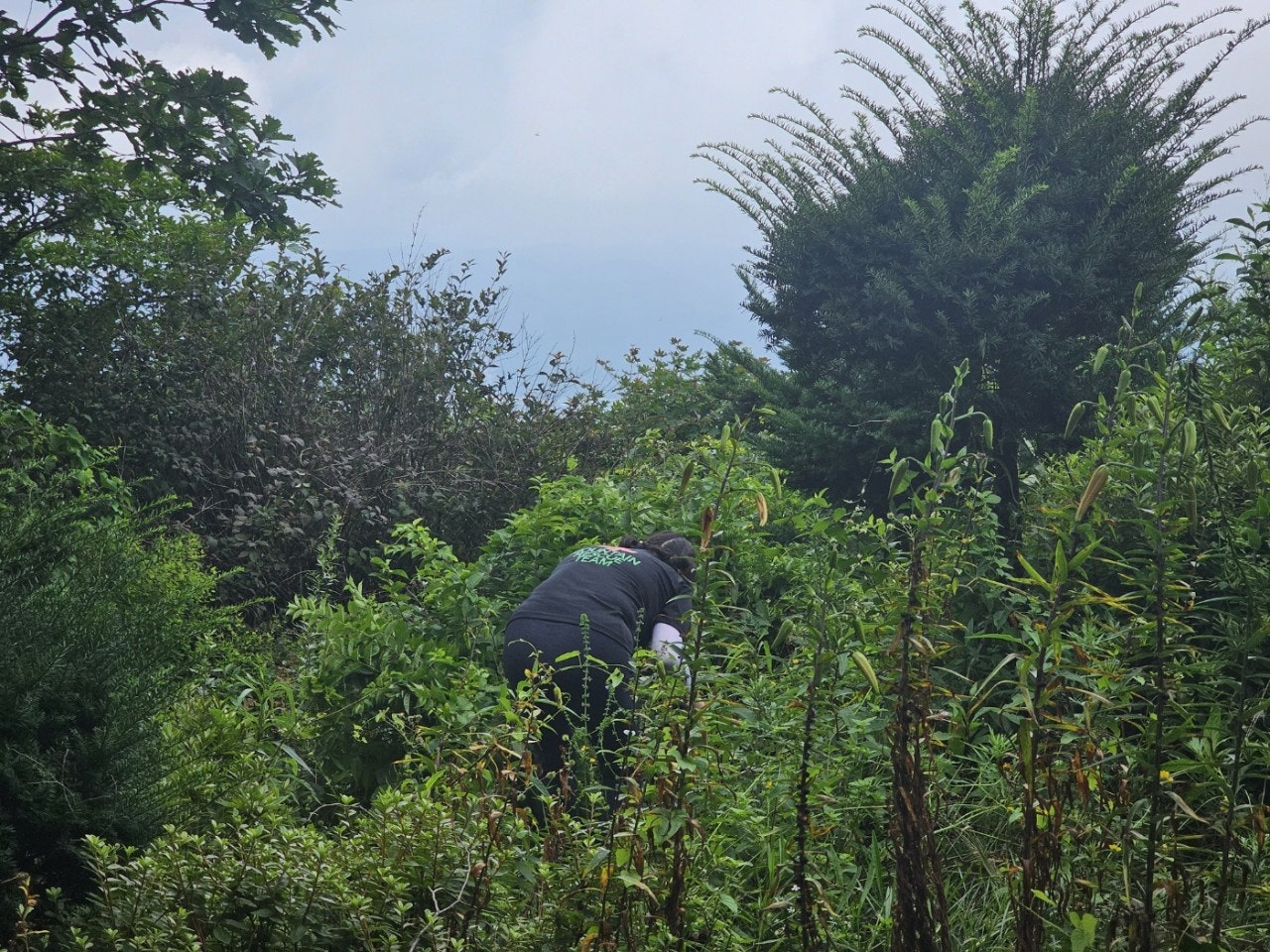 사용자가 올린 이미지
