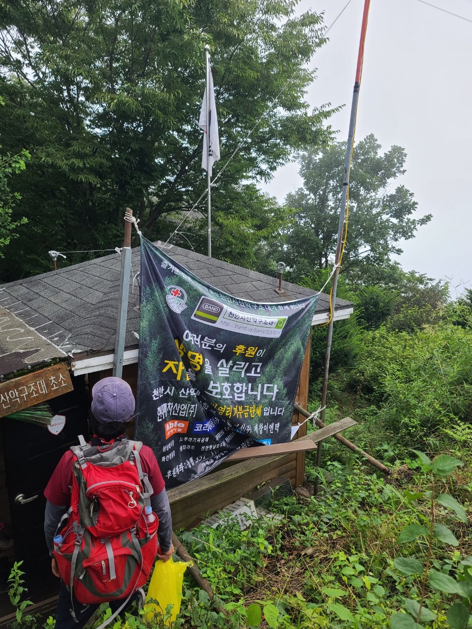 사용자가 올린 이미지