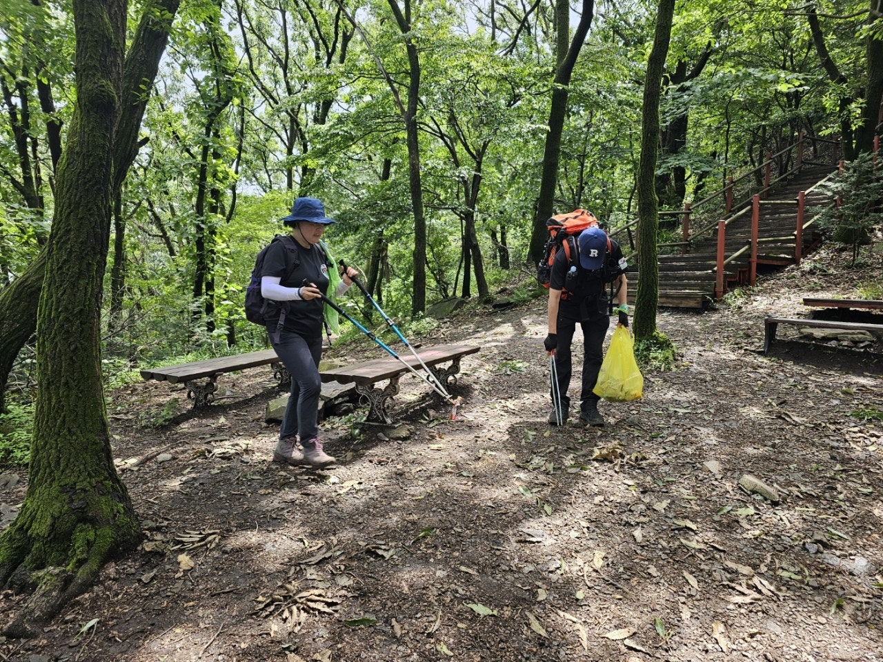 사용자가 올린 이미지