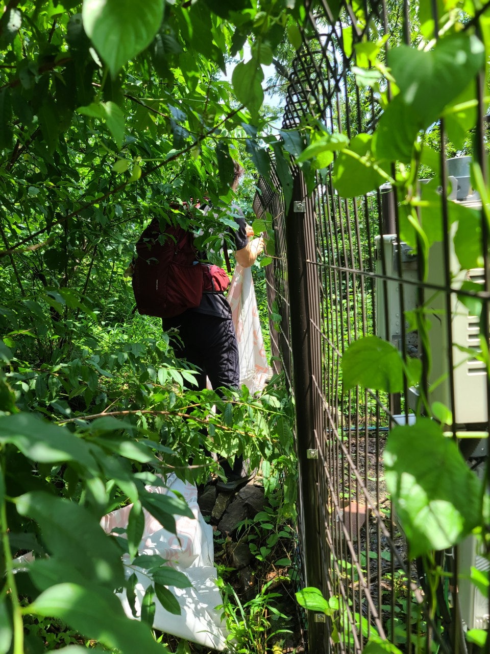 사용자가 올린 이미지