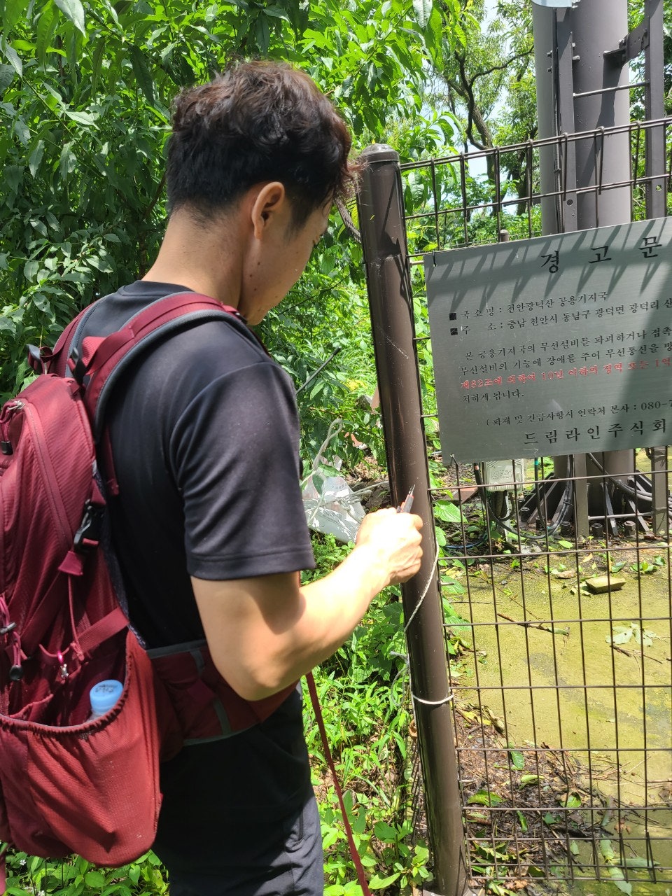 사용자가 올린 이미지