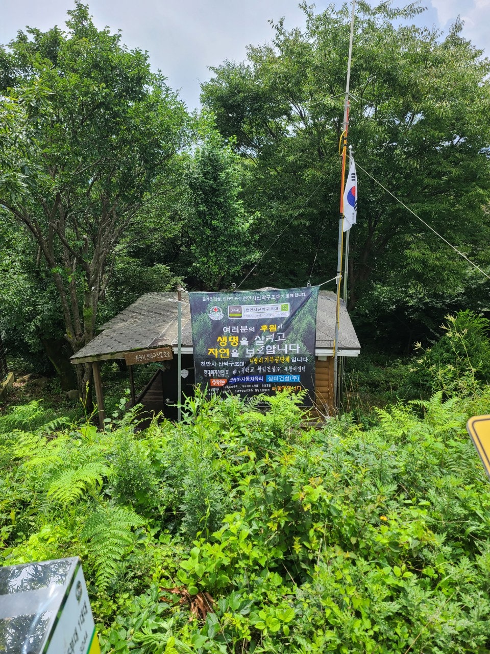 사용자가 올린 이미지