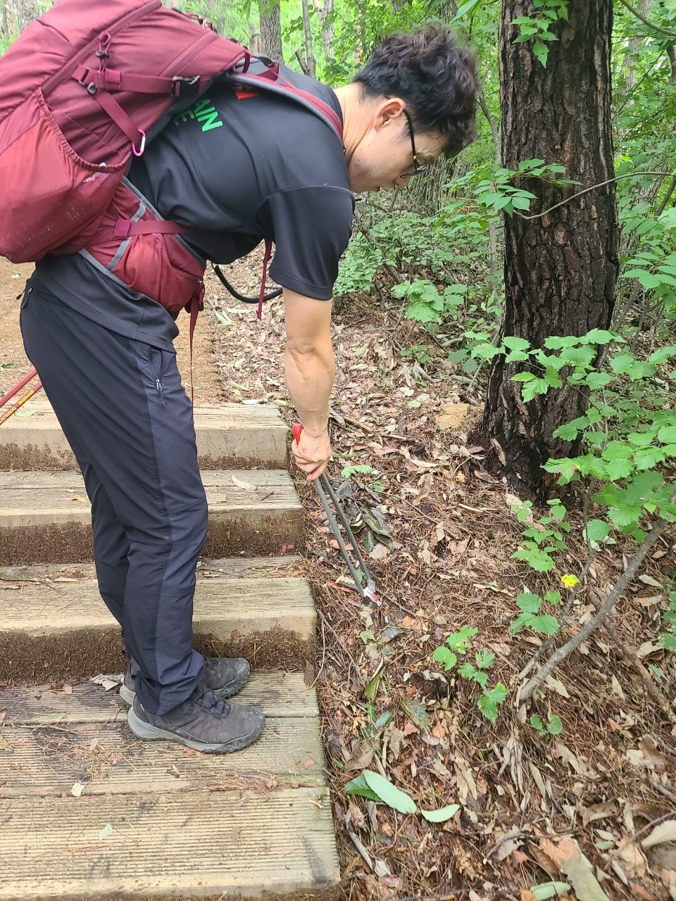 사용자가 올린 이미지