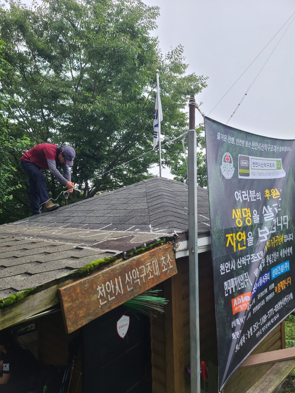 사용자가 올린 이미지