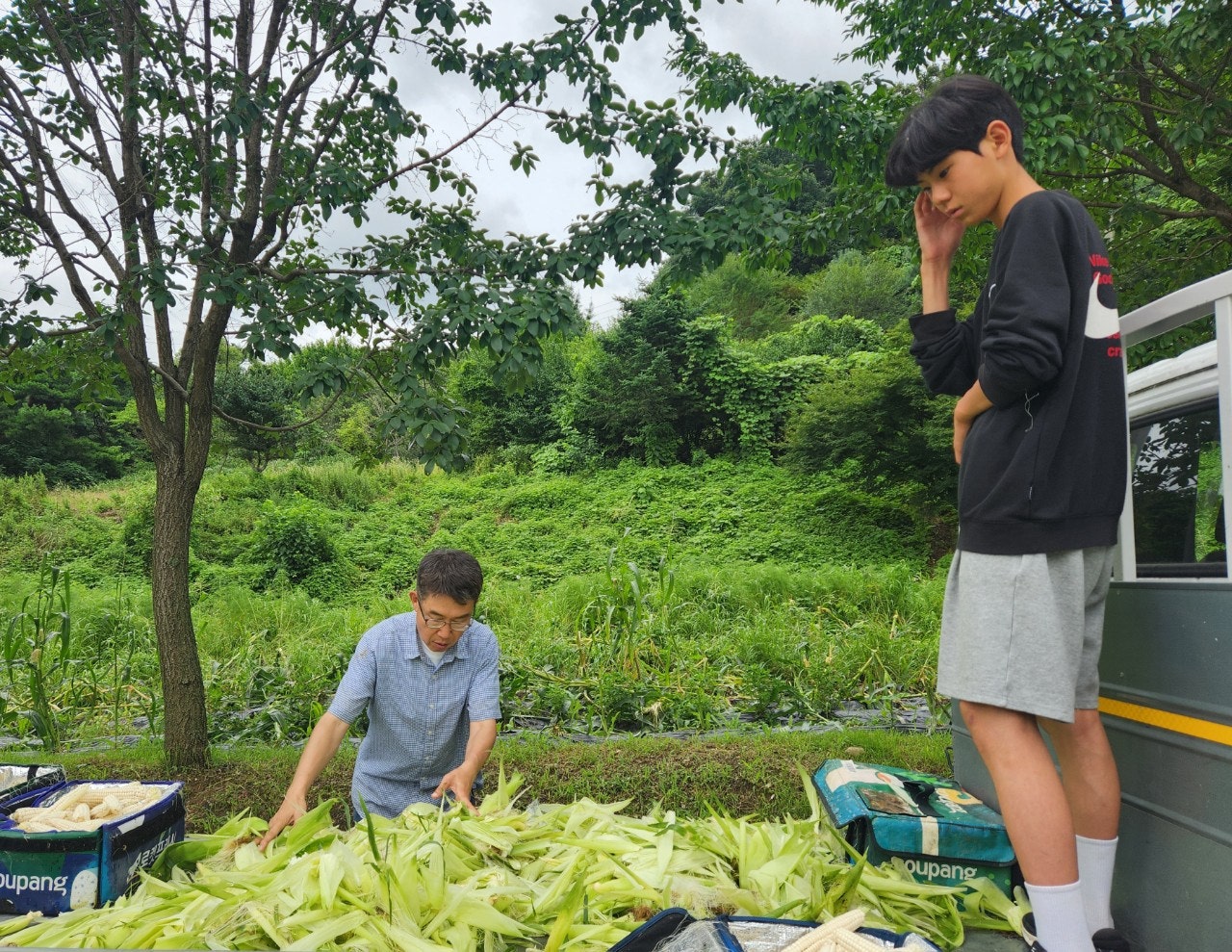 사용자가 올린 이미지