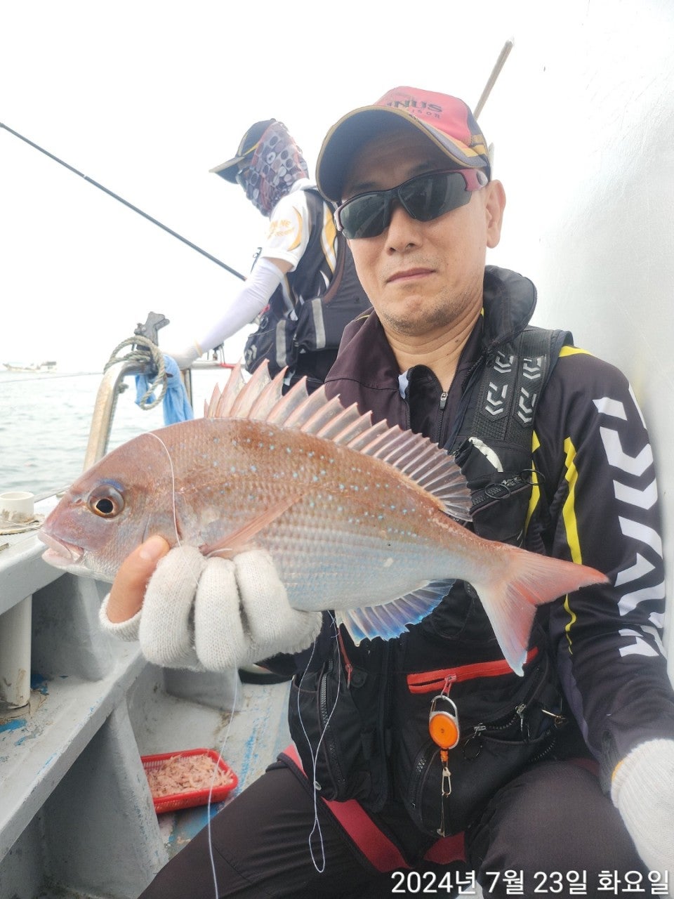 사용자가 올린 이미지