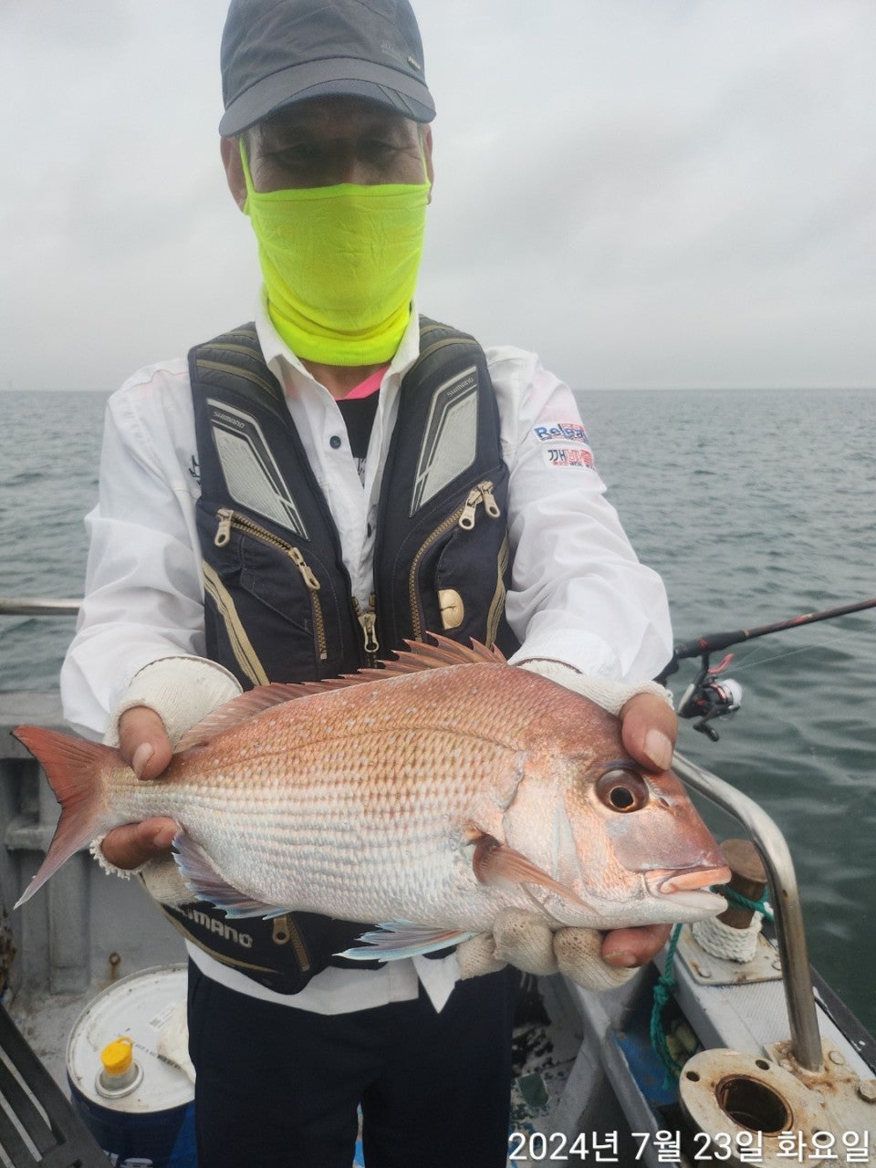 사용자가 올린 이미지