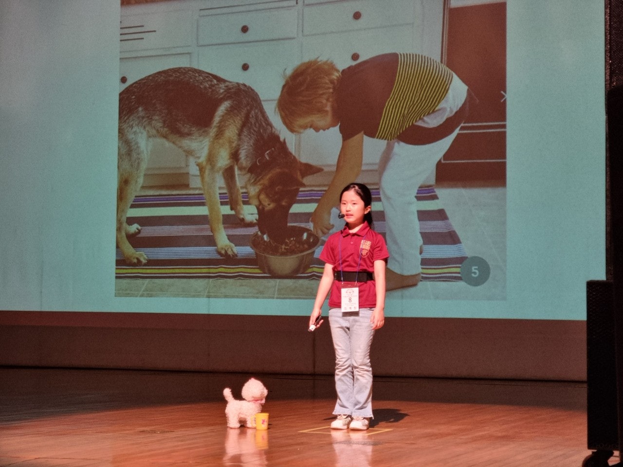 사용자가 올린 이미지