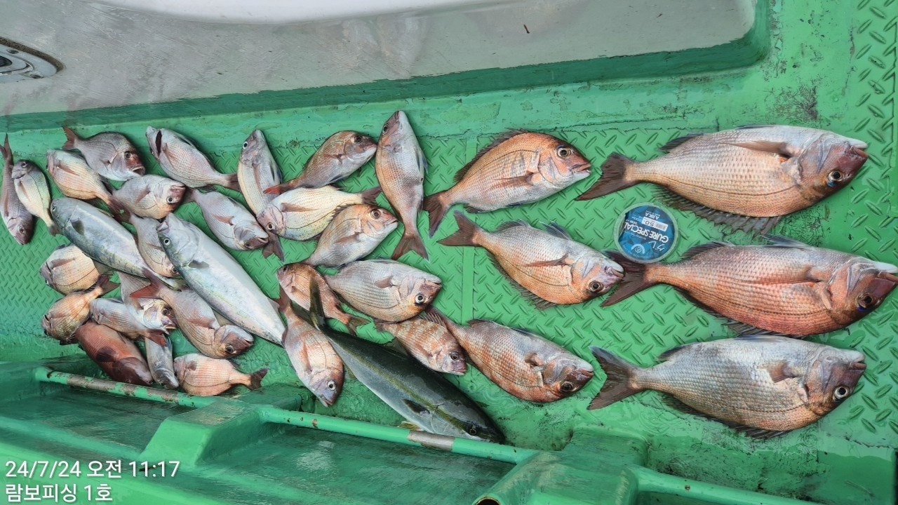 사용자가 올린 이미지