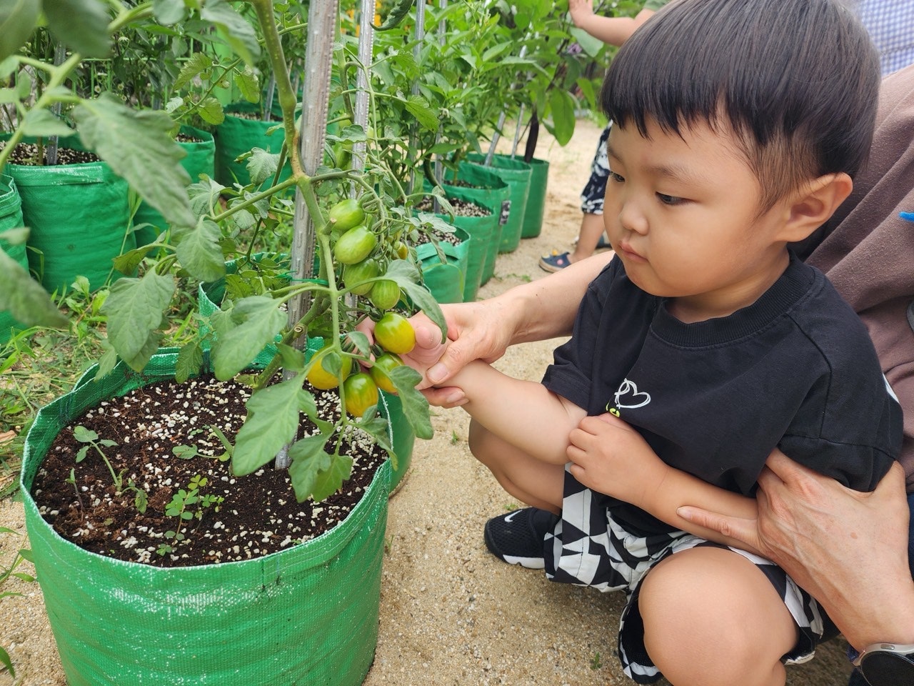 사용자가 올린 이미지