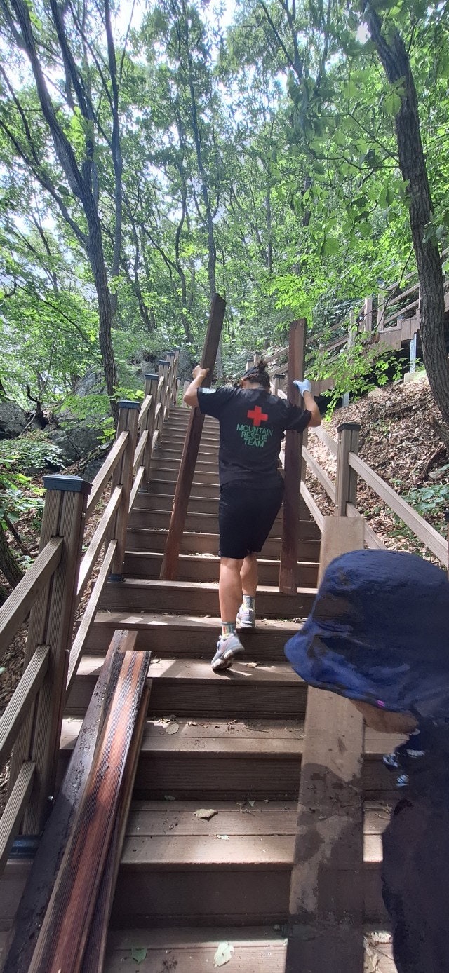 사용자가 올린 이미지