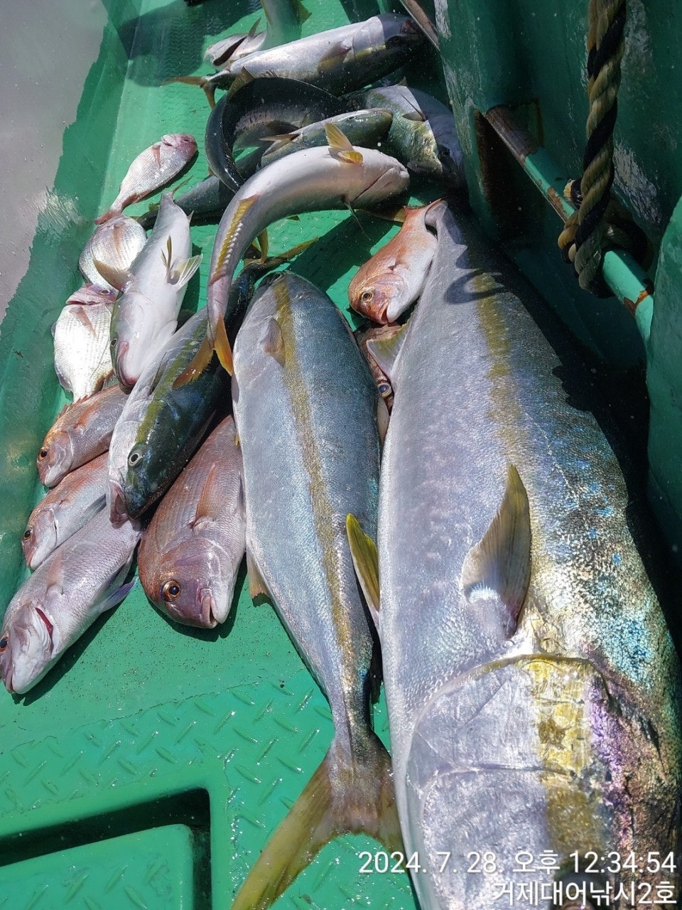 사용자가 올린 이미지