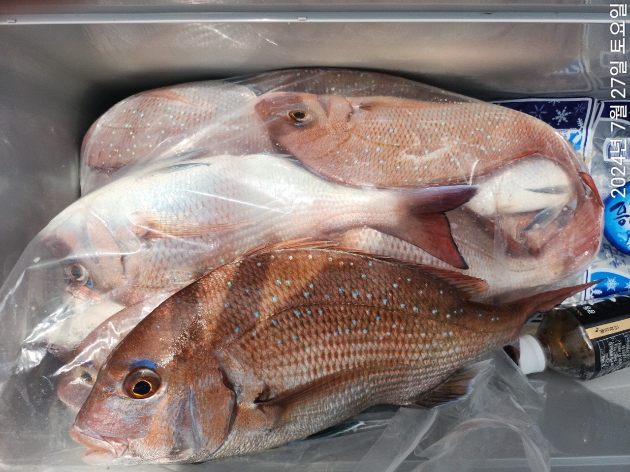 사용자가 올린 이미지