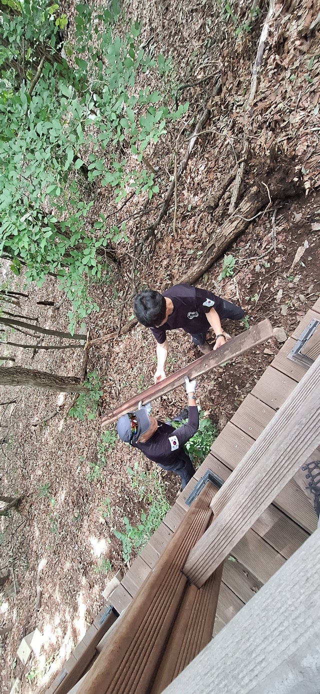 사용자가 올린 이미지