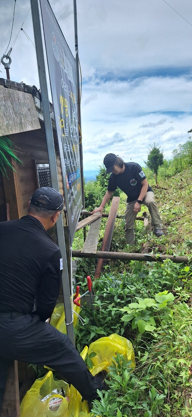 사용자가 올린 이미지
