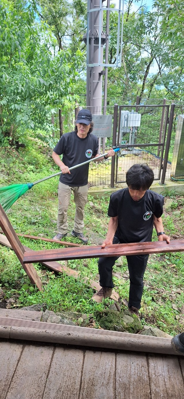 사용자가 올린 이미지