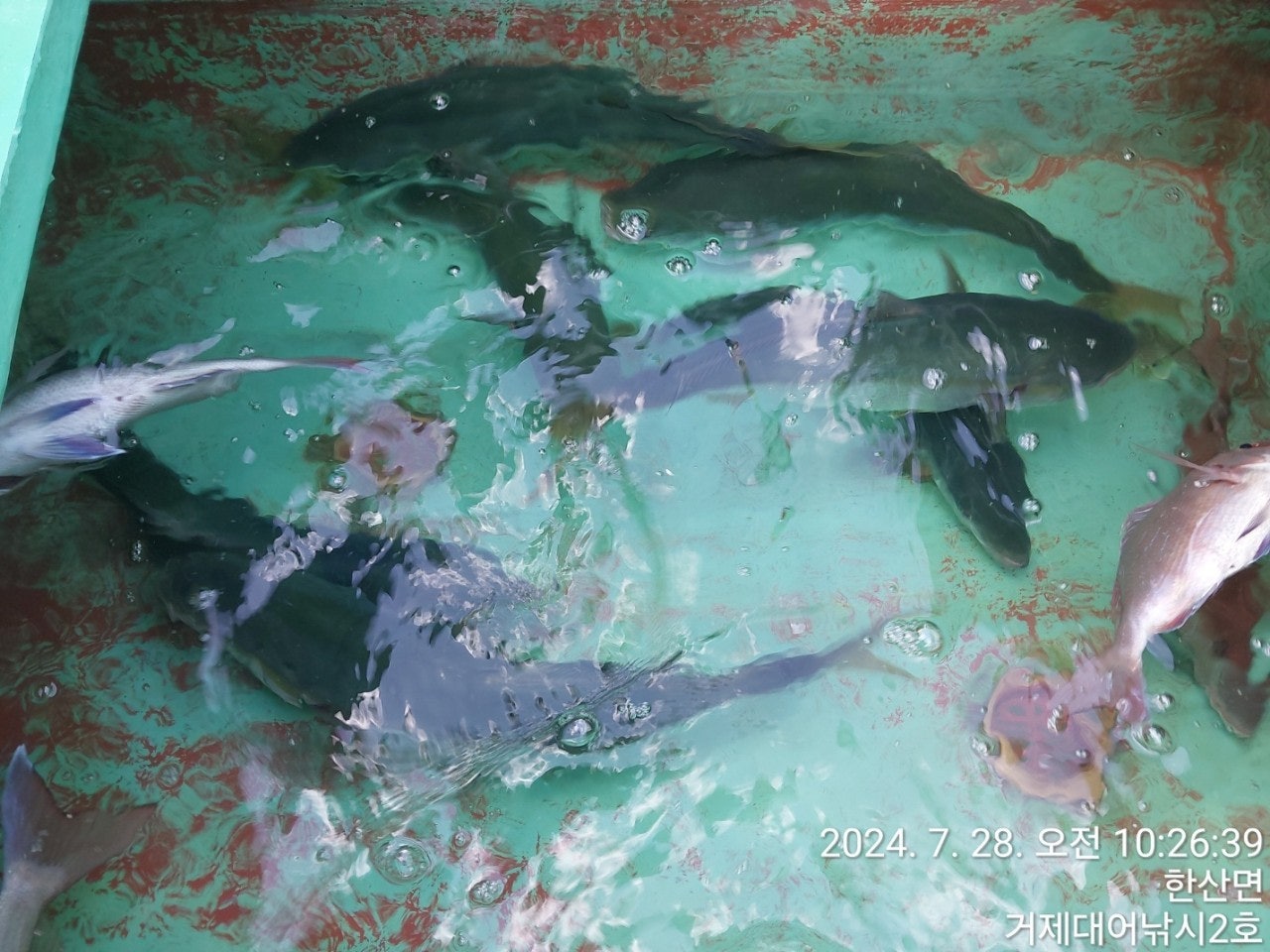 사용자가 올린 이미지