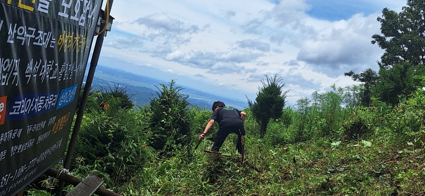 사용자가 올린 이미지