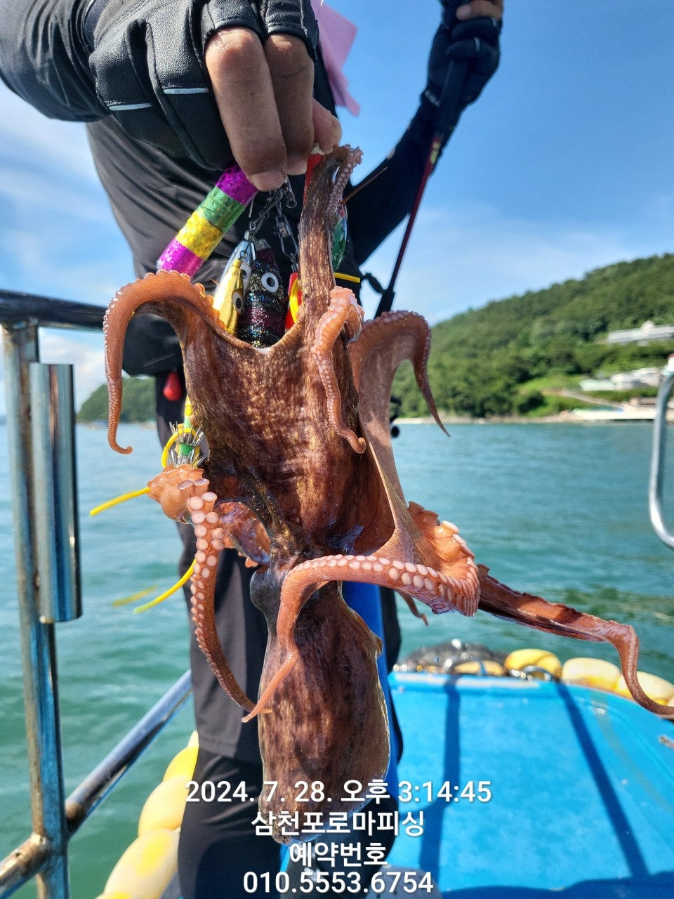 사용자가 올린 이미지