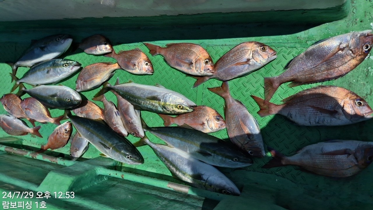 사용자가 올린 이미지