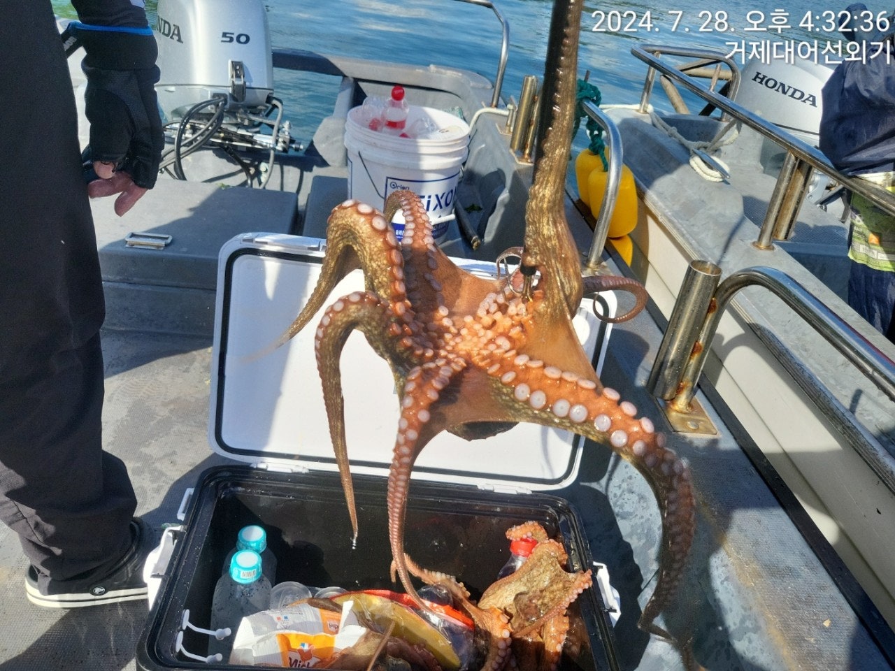 사용자가 올린 이미지