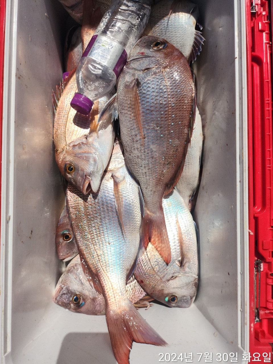 사용자가 올린 이미지