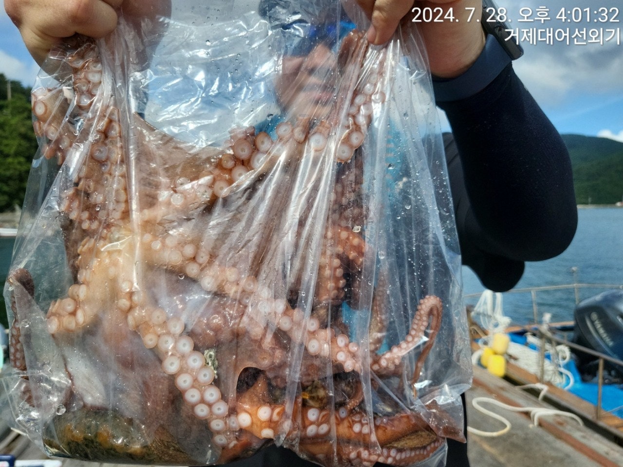 사용자가 올린 이미지